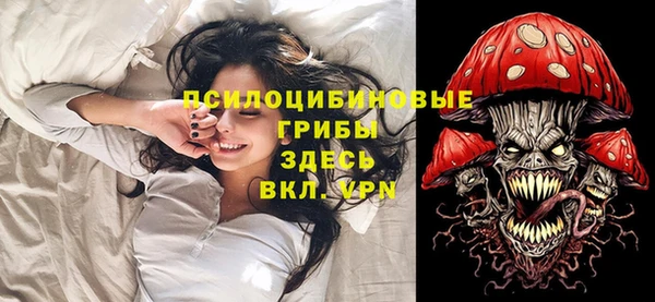 трава Гусиноозёрск