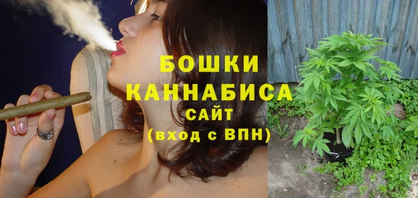 дурь Гусев