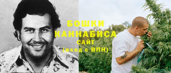 трава Гусиноозёрск