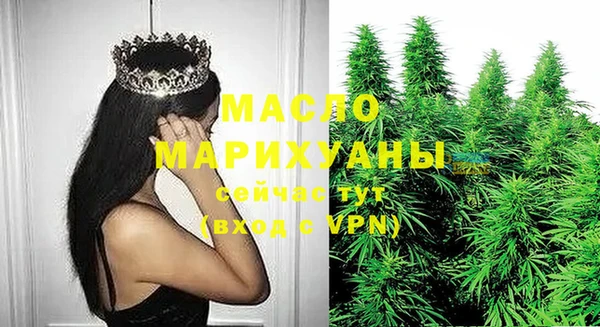 дурь Гусев