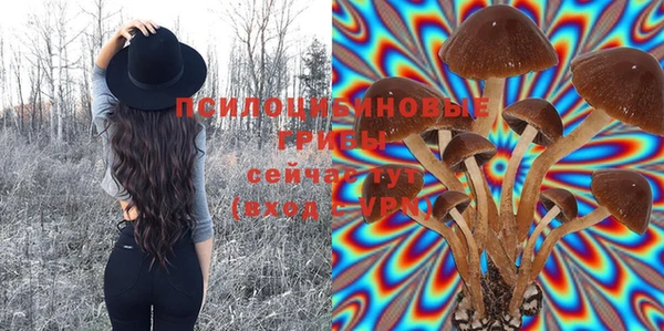 трава Гусиноозёрск